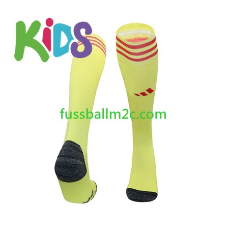 Arsenal Torwart Kinder Heim Socken 2024-2025
